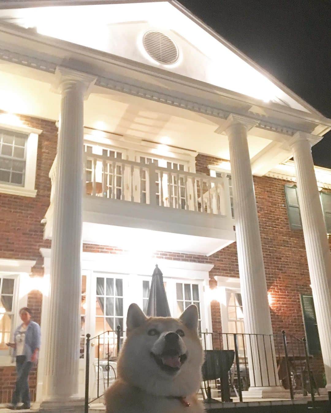 てんパパのグルメインスタ