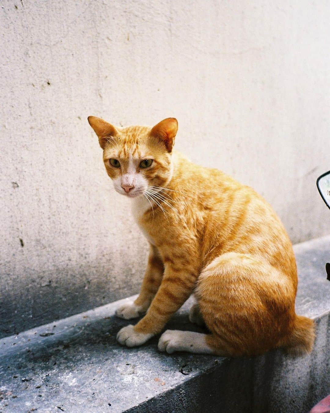 PIMTHAさんのインスタグラム写真 - (PIMTHAInstagram)「สุดหล่อม้วนแรก 🧡 #filmphotography」8月19日 20時57分 - pimtha