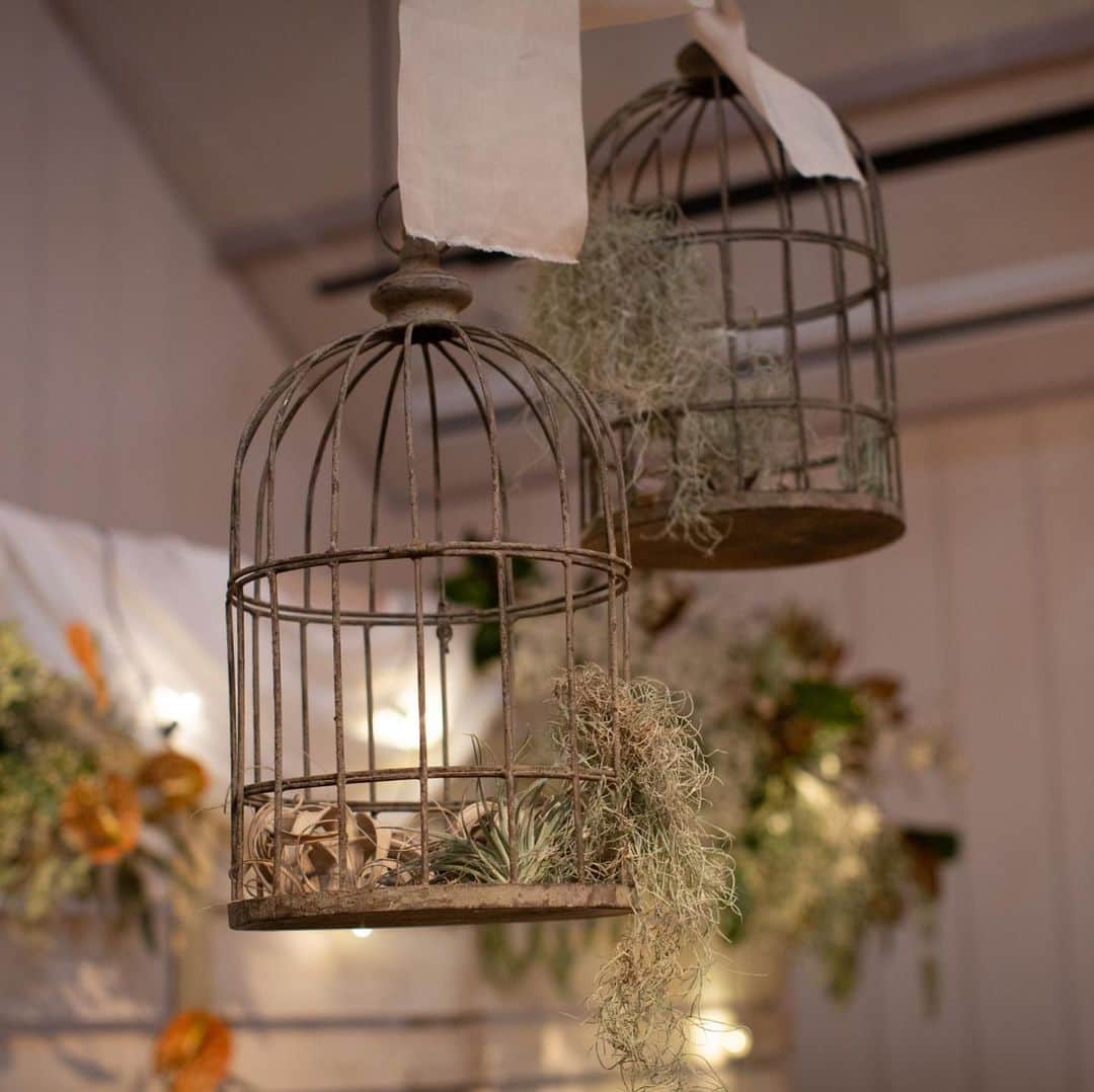 The Sally Garden（ザ サリィガーデン）のグルメインスタ