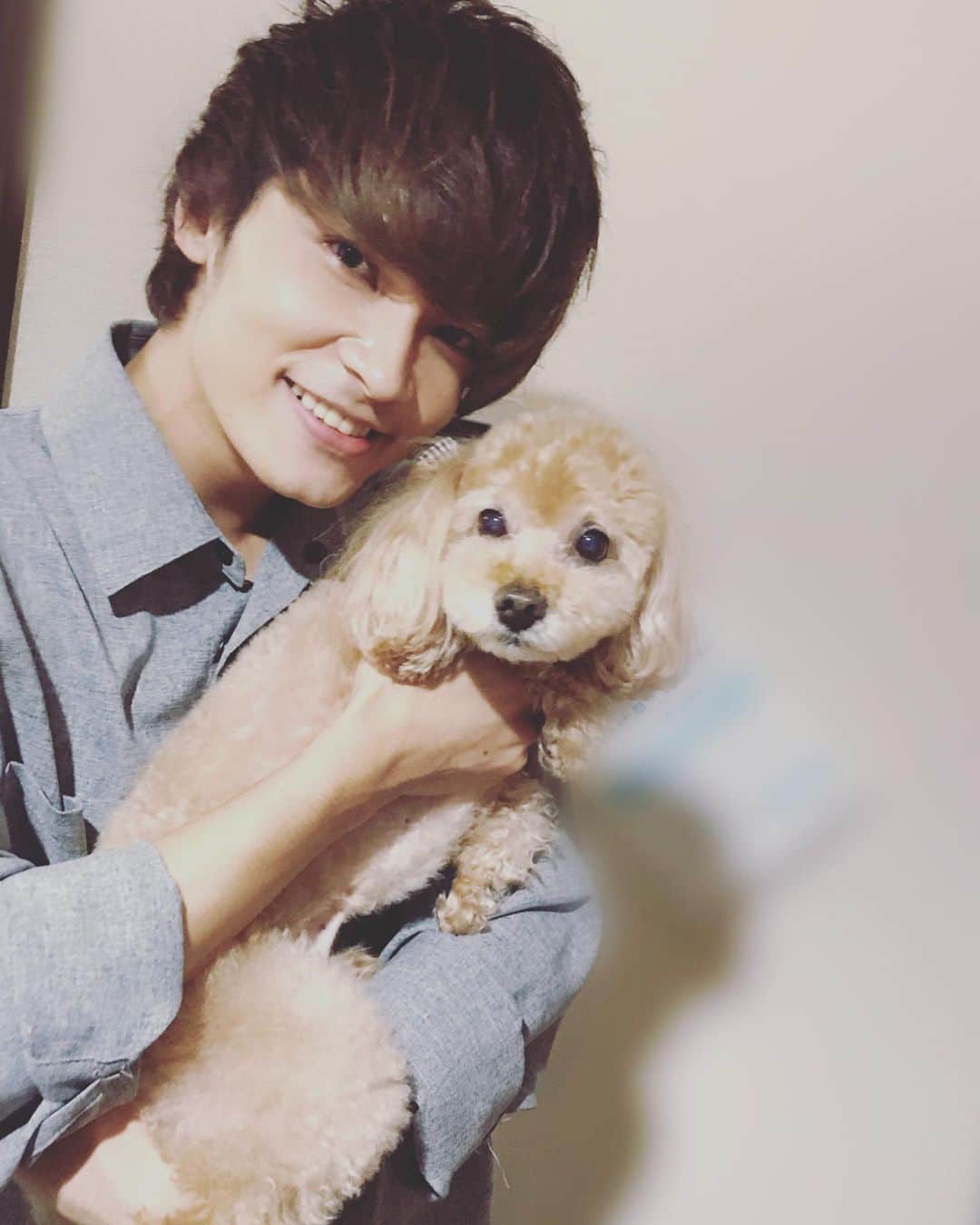 のインスタグラム：「チャキ〜🐩 らぶ〜❤️❤️❤️ #帰省 #実家 #犬 #ワンちゃん #可愛い #らぶ #役者 #俳優 #若菜太喜 #フォローしてね #followme #thankyou」
