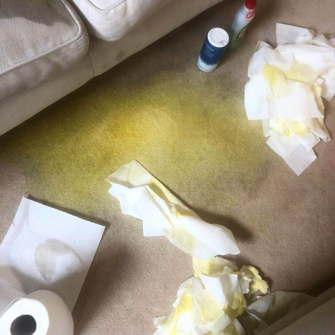 アレクサンドラ・フェルステッドさんのインスタグラム写真 - (アレクサンドラ・フェルステッドInstagram)「Shit. What do I do?! 🤦🏻‍♀️ ( apart from giving India up for adoption)」8月19日 21時04分 - binkyfelstead