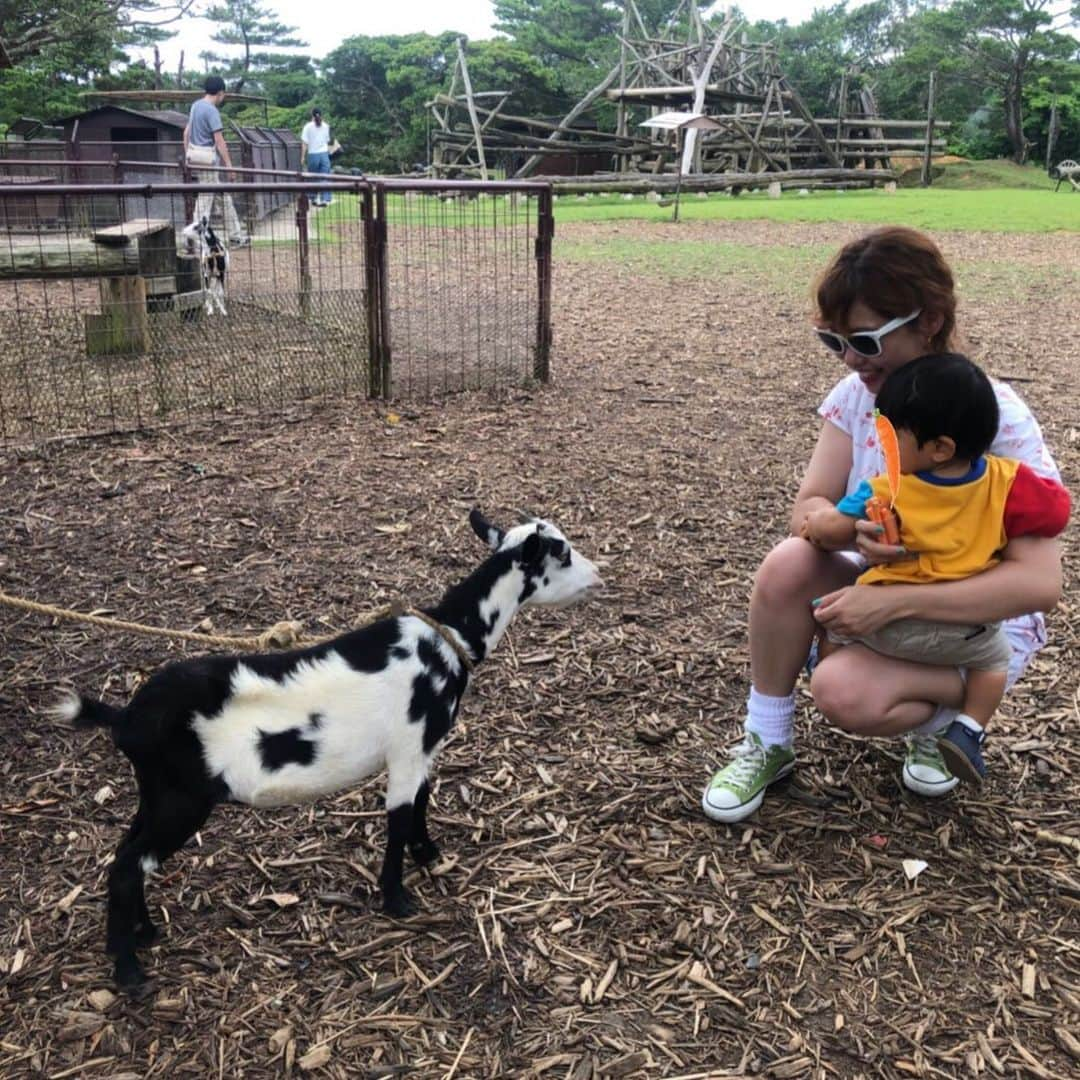 オクヒラテツコ（ぺこ）さんのインスタグラム写真 - (オクヒラテツコ（ぺこ）Instagram)「今日行ったところのひとつ、ビオスの丘🌳 動物と自然に触れ合えて、とってもたのしかったなぁ〜 :) 写真は、かわいいヤギさんににんじんをあげようとしているようす🥕 #higainchellland」8月19日 21時13分 - pecotecooo