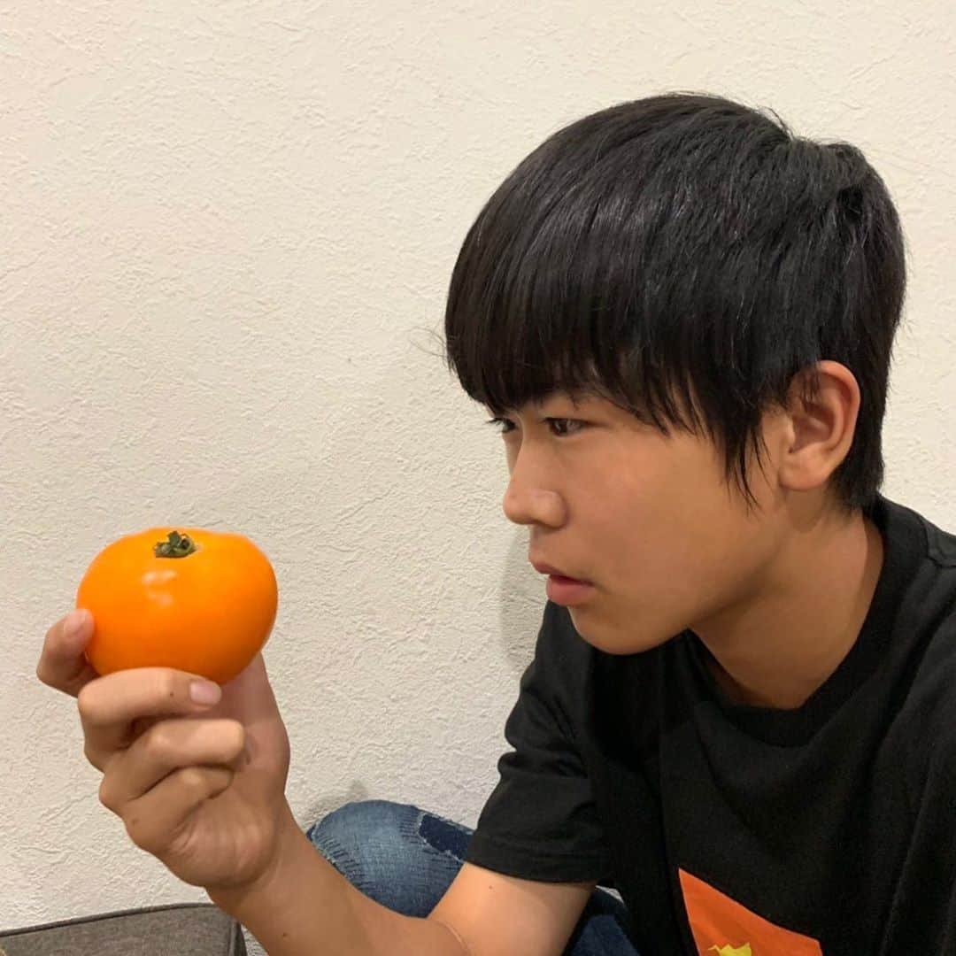 鈴木福さんのインスタグラム写真 - (鈴木福Instagram)「なんだこれは！？ 柿か？ いや違う… なんなんだ…！！ トマトだそうです(笑) 驚き！  #鈴木福#なんだこれ#⁉︎柿 #違う#トマト#驚き#かわいい」8月19日 21時35分 - s_fuku_te