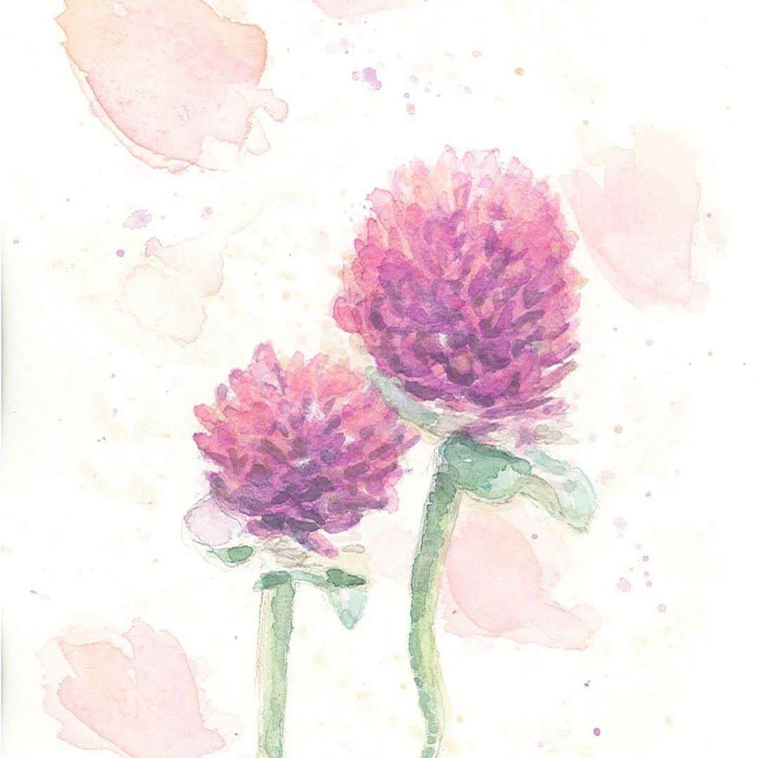 山人のグルメインスタ