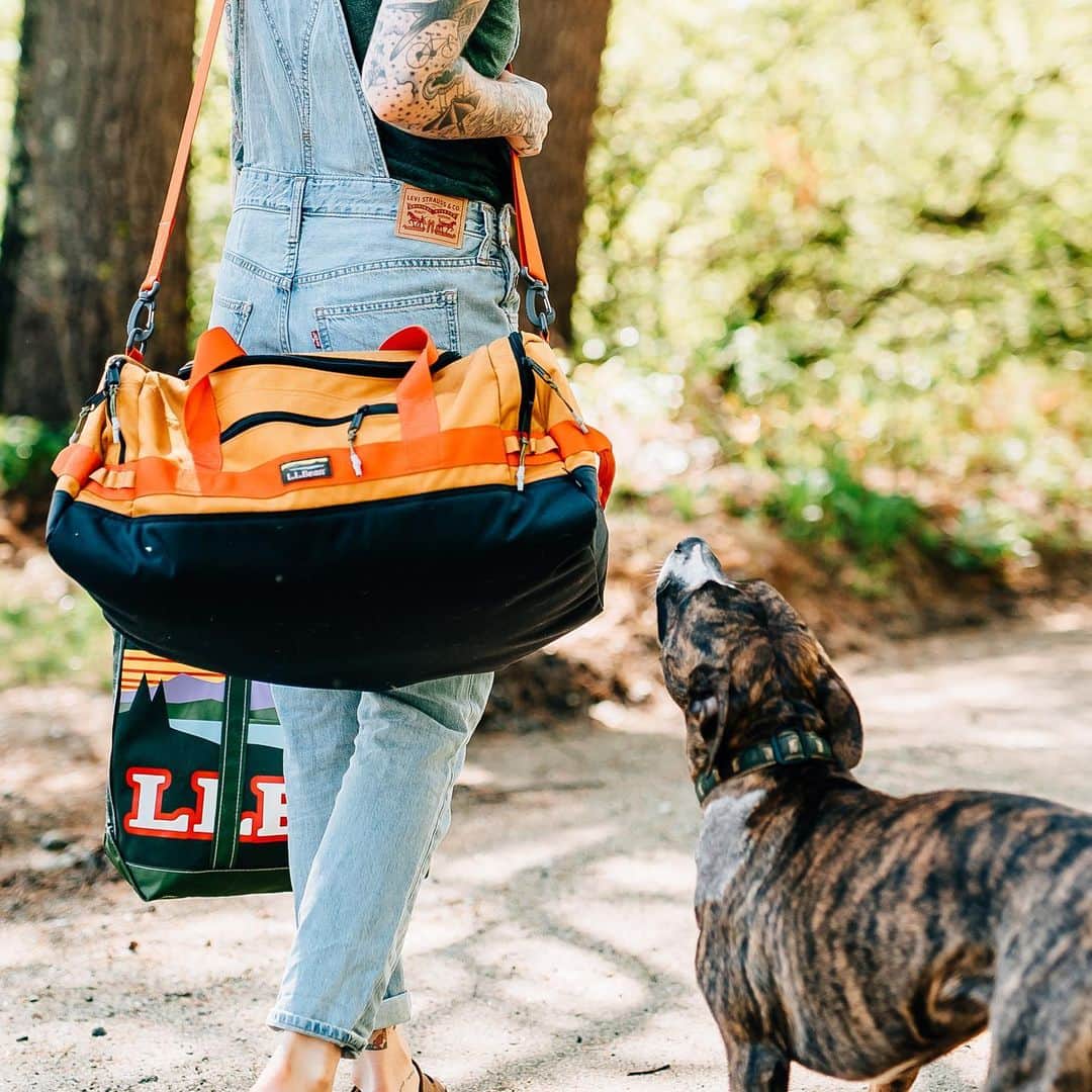 L.L.Beanさんのインスタグラム写真 - (L.L.BeanInstagram)「Don't mind me, I'm just imagining how many dog toys you could fit in that duffle. #SmoreOutofSummer #BeanOutsider (📷: @photocait) Check out the bright and beautiful Mountain Classic Cordura Duffle with the link in our bio.」8月19日 22時23分 - llbean