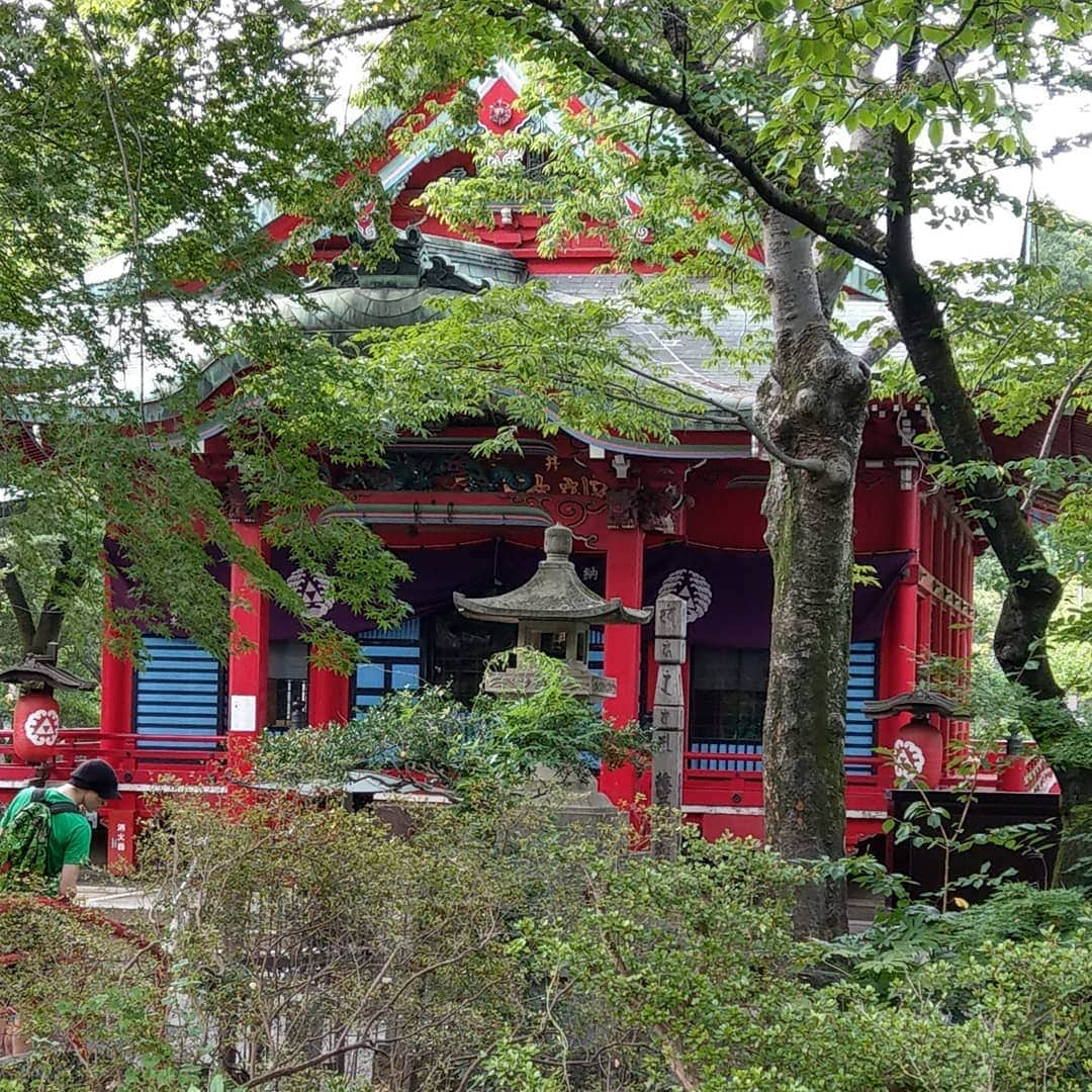 Naokoさんのインスタグラム写真 - (NaokoInstagram)「. 今日は #吉祥寺 へ💨💨💨. . . 井の頭公園ステキカフェ☕😌✨ #ペパカフェフォレスト らーめんウマー😍💓. . . #井の頭弁財天 おまいり🙏💗. . . オマケ😜 このハンモック欲しい~😍. . . #吉祥寺#井の頭公園 #ペパカフェフォレスト #井の頭弁財天 #ハンモック」8月19日 22時44分 - setsunao