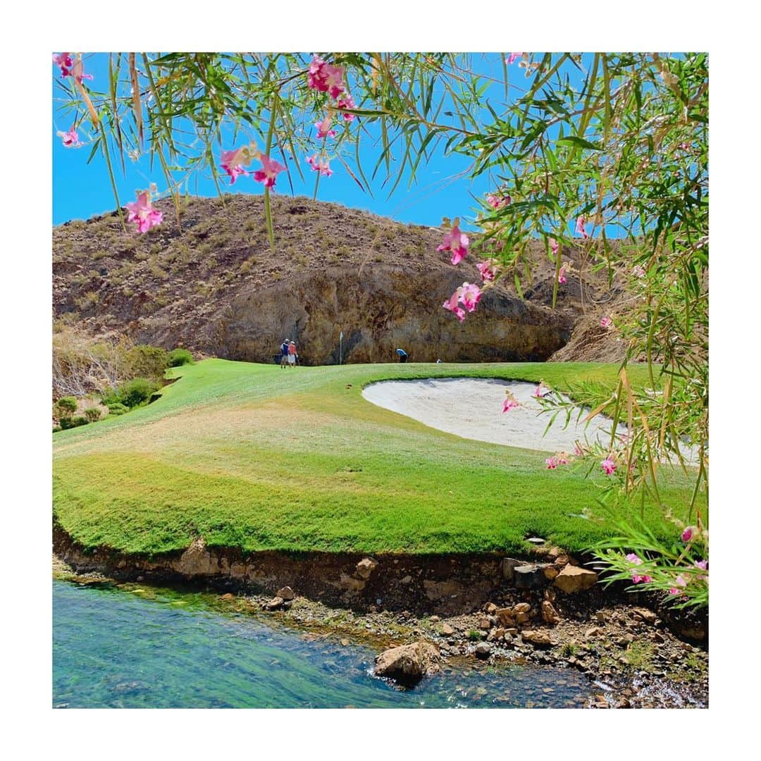森下千里さんのインスタグラム写真 - (森下千里Instagram)「砂漠の真ん中にも 花は咲く🌸  ということで、ラスベガスです。  カジノ🎰が目的でなく、 もちろん、ゴルフ⛳️ 今回も御一行様🧡  灼熱の太陽の下🌞 どこ行ってもゴルフができる幸せを噛み締めて、たのしんできたいと思います！ . . #golf #ゴルフ #ゴルフ旅行 #trip #ラスベガス #ラスベガスゴルフ」8月19日 22時45分 - morishitachii