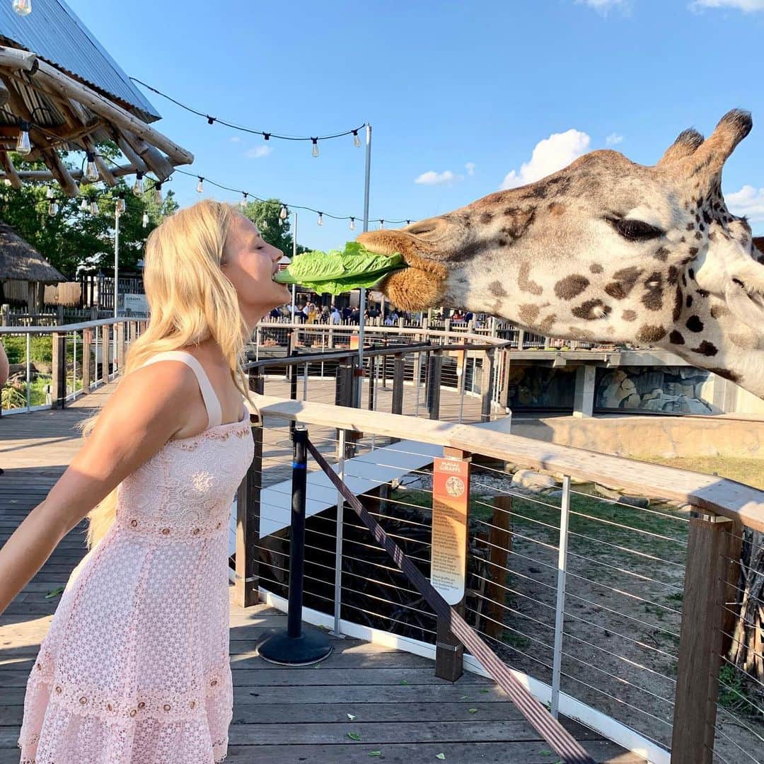 グレイシー・ドジーニーのインスタグラム：「sharing is caring 🦒」