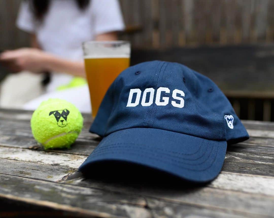The Dogistさんのインスタグラム写真 - (The DogistInstagram)「Worn by humans, chewed by dogs. The DOGS hat available now at @thedogistshop (link in bio)」8月19日 23時41分 - thedogist