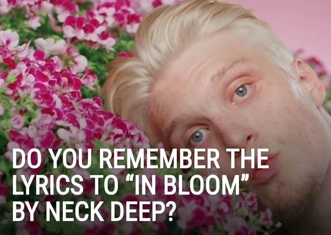 Alternative Pressさんのインスタグラム写真 - (Alternative PressInstagram)「Do you think you know all of @neckdeepuk's "In Bloom" lyrics? Prove it 👇⁠ LINK IN BIO⁠ .⁠ .⁠ .⁠ #neckdeep #neckdeepuk #thepeaceandthepanic #inbloom #poppunk #poppunkmusic #altpress #alternativepress⁠」8月20日 0時00分 - altpress