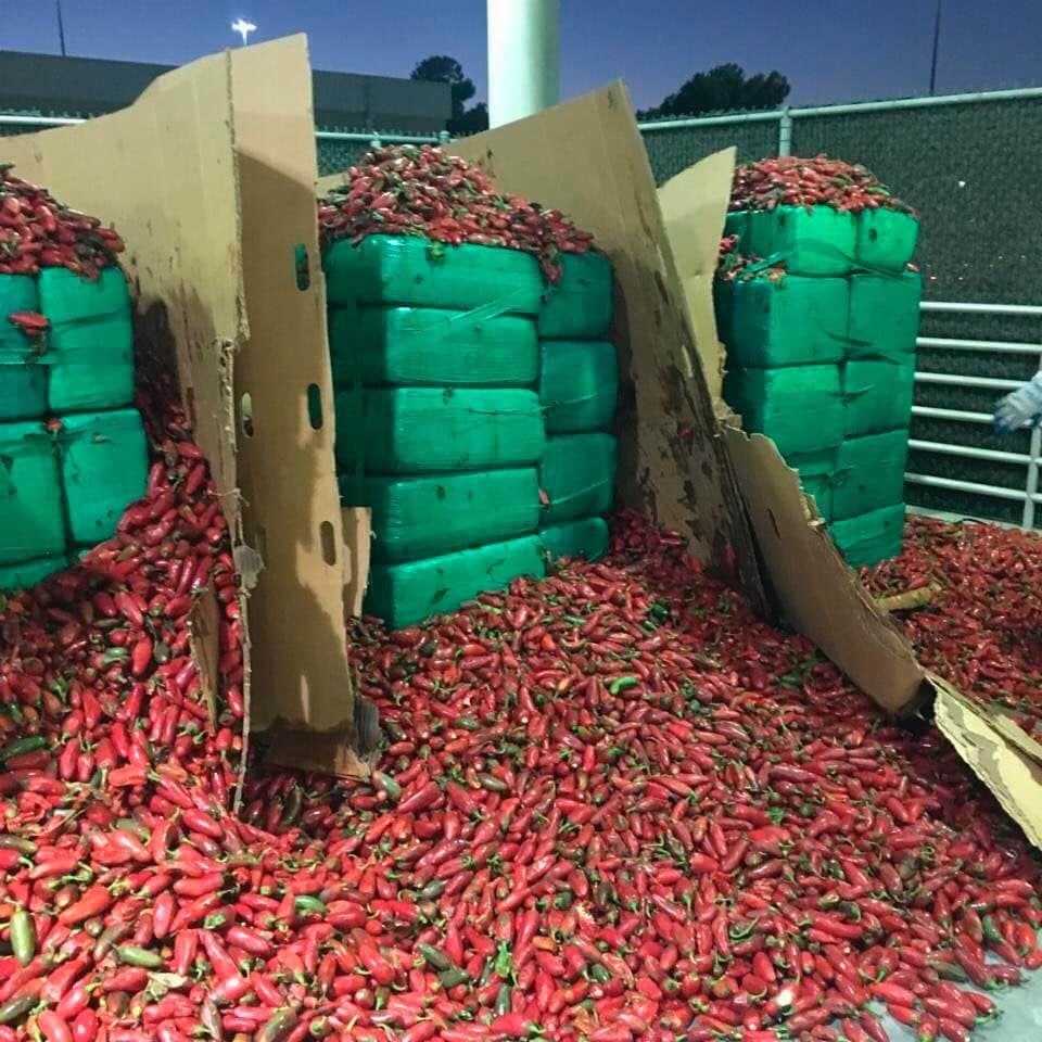 NBC Newsさんのインスタグラム写真 - (NBC NewsInstagram)「Nearly 4 tons of marijuana were found buried in a shipment of jalapeño peppers at a border checkpoint in San Diego, officials said. Click the link in our bio to read more. . 📷 CBP Acting Commissioner Mark Morgan via Twitter」8月20日 0時10分 - nbcnews