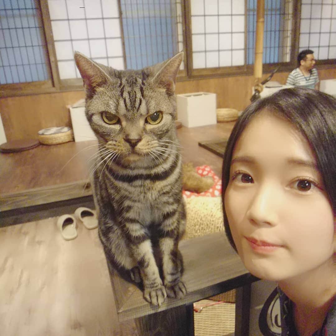 野田真実さんのインスタグラム写真 - (野田真実Instagram)「． ． ． 猫カフェ楽しかった！ ． ． #ねこ #猫カフェ」8月20日 0時40分 - noda_mami_