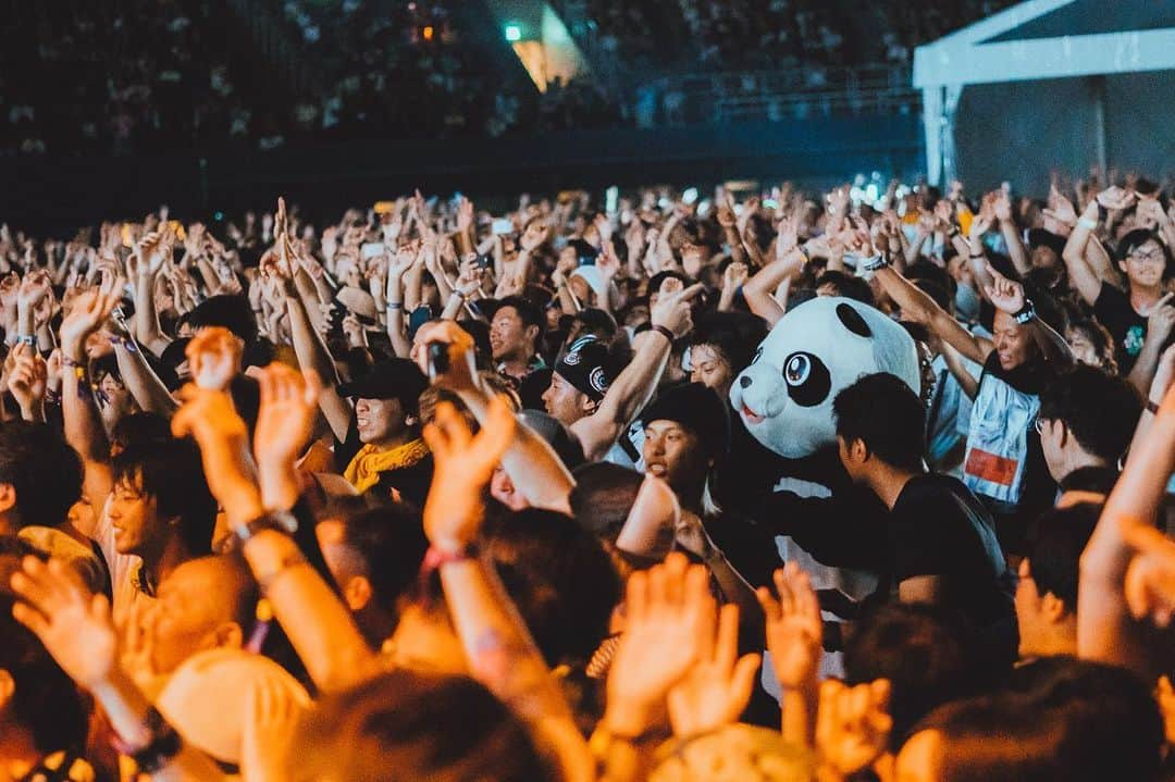 フォール・アウト・ボーイさんのインスタグラム写真 - (フォール・アウト・ボーイInstagram)「Where's Waldo... but a panda. @summersonic_official round ✌️ in Osaka was a trip」8月20日 1時08分 - falloutboy