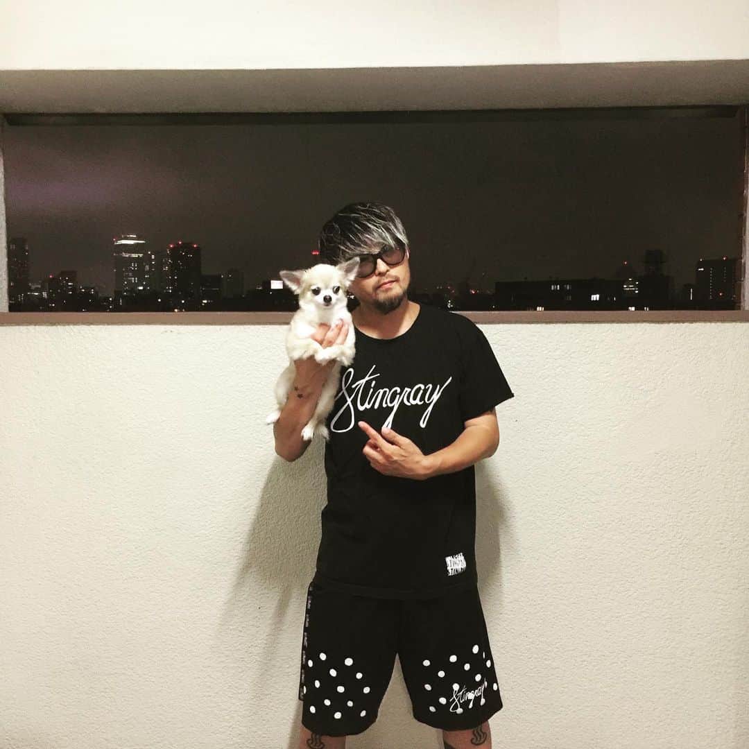 のインスタグラム：「今日は一日仕事&打ち合わせ&明後日から阪急うめだ百貨店3階でスタートするSTINGRAY期間限定ショップの準備のために今から大阪へ夜走り！(朝到着予定)阪急終わりですぐ心斎橋→徳島→名古屋STINGRAYが始まるからポルカとしばしの別れ！ 安全運転で行ってきます！ #stingray #ポルカ #阪急うめだ #阪急 #大阪 #移動 #夜走り」