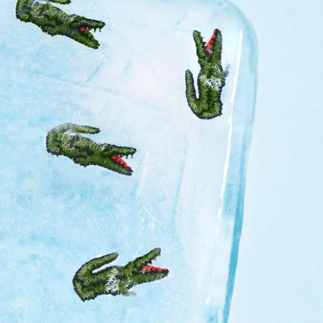 Lacosteさんのインスタグラム写真 - (LacosteInstagram)「Break the ice. #CrocodileInside #Lacoste #CrocodileAddict 🍦🐊」8月20日 1時28分 - lacoste