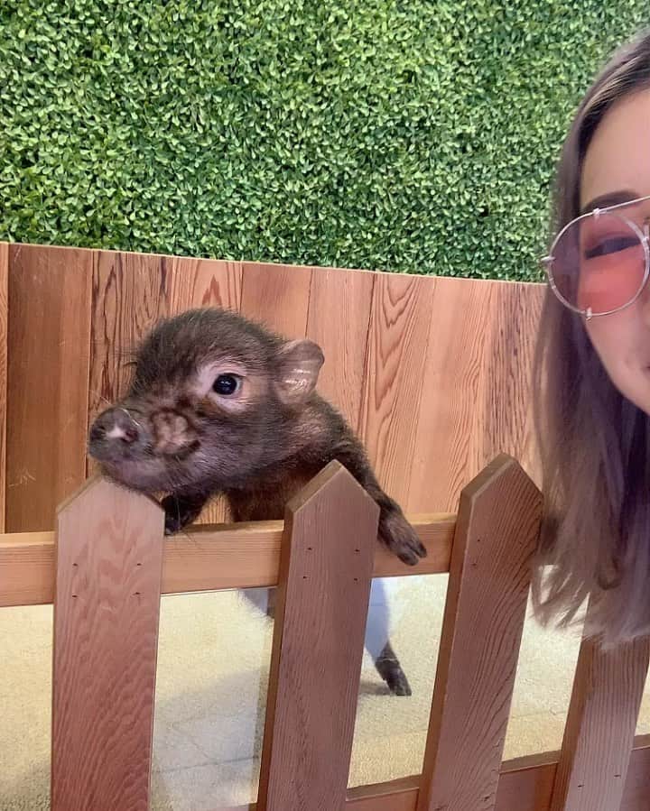 TOKiMONSTAのグルメインスタ