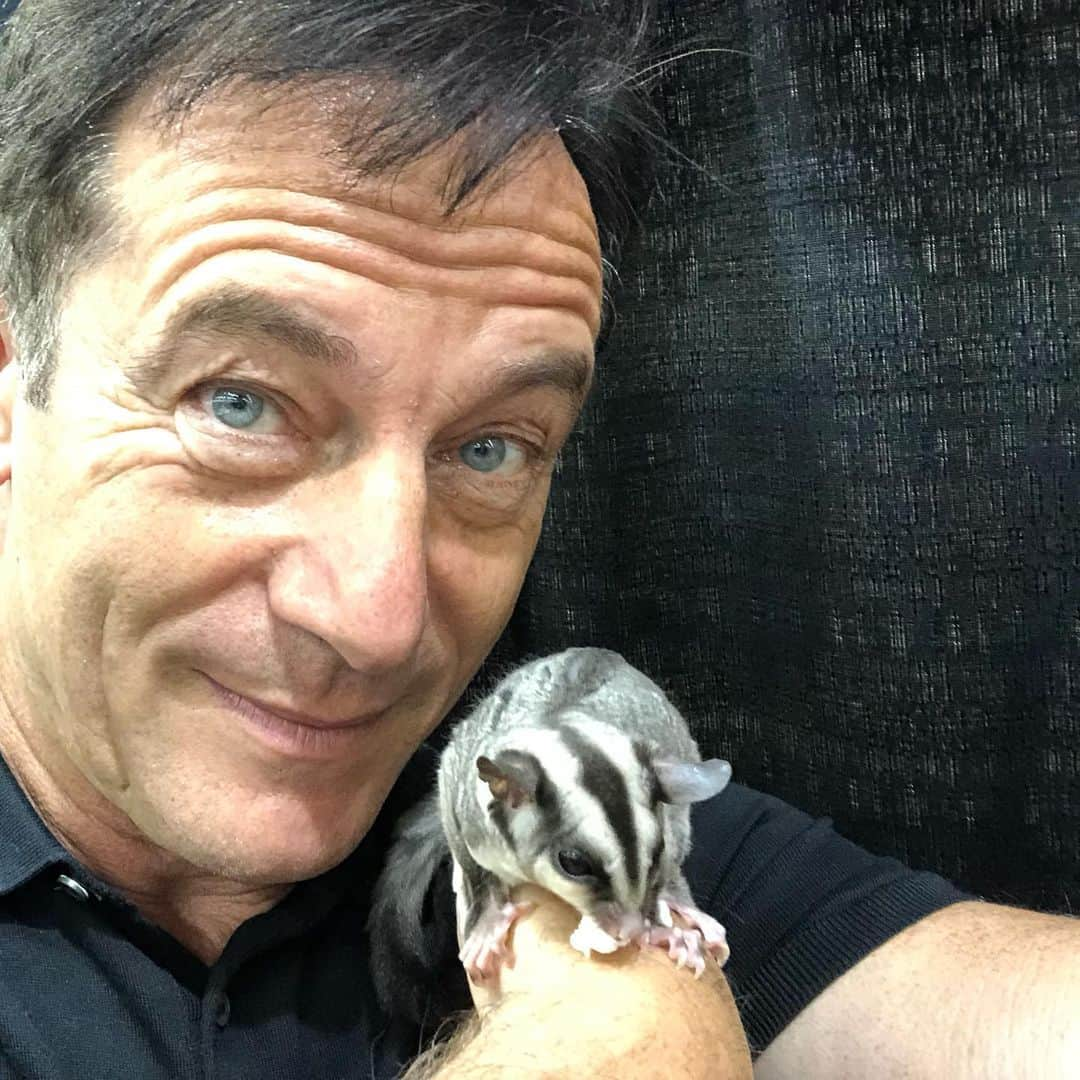 ジェイソン・アイザックスさんのインスタグラム写真 - (ジェイソン・アイザックスInstagram)「Incredibly cute and furry creature, but shits uncontrollably all over the house.  And an Australian Sugar Glider.  #KeepingUpWithTheMalfoys #DadJokes #DontEatThemAllAtOnce #harrypotter」8月20日 2時57分 - therealjasonisaacs