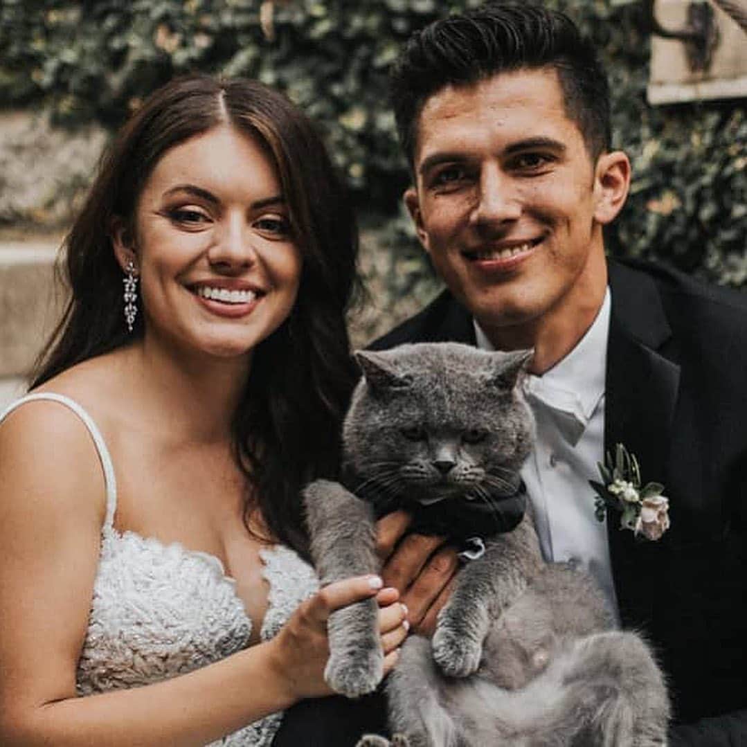 Good Morning Americaさんのインスタグラム写真 - (Good Morning AmericaInstagram)「Me-WOW! 🐱 This spiffy cat stole the show as a groomsman at his owners’ wedding — complete with his own tuxedo! 🤵👰 Link in bio for more on Prince Michael and his humans’ nuptials! (📸: @jonnieandgarrett)」8月20日 2時59分 - goodmorningamerica