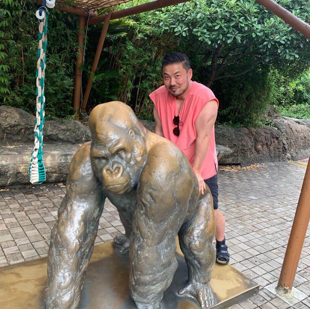 信沢Hitoshiさんのインスタグラム写真 - (信沢HitoshiInstagram)「動物園に行った！これって、俺の事？」8月20日 14時44分 - nobusawahitoshi