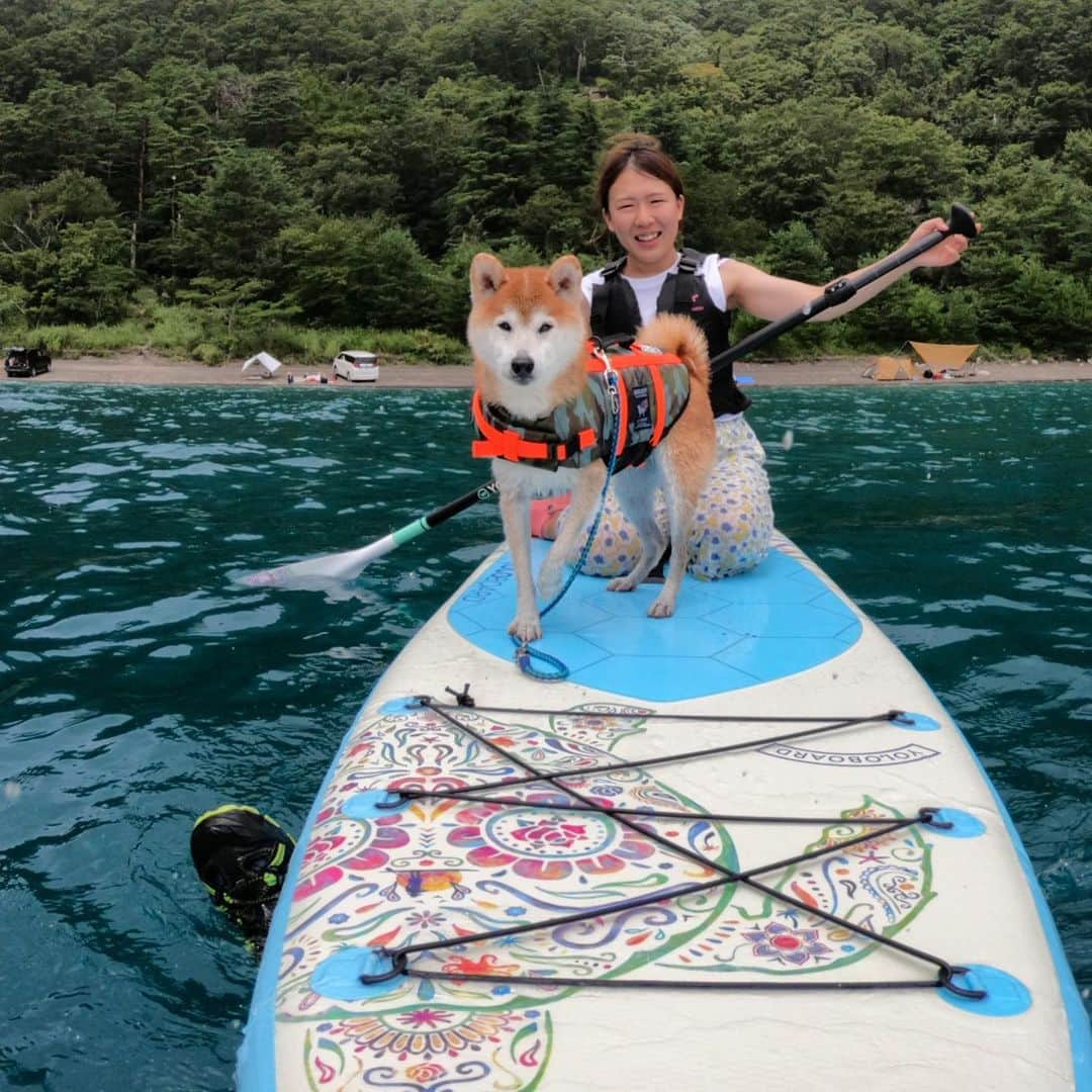 BlackRed shibasのインスタグラム