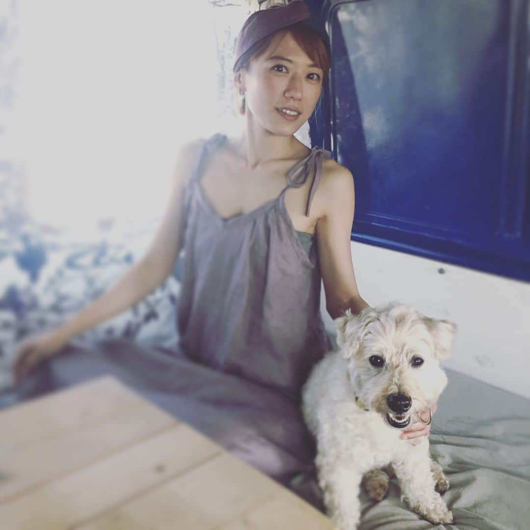 甲斐麻美さんのインスタグラム写真 - (甲斐麻美Instagram)「ペヤングは どんなに暑かろうと おかーちゃん(わたし)に ピッタリくっつく  暑い… じゃなかった💦 愛しい…  #いぬとわたし #いぬ #dogstagram #テリアミックス #いつも一緒がいいね #犬猫優先の暮らし #いつも助けてくれる存在 #愛 #mylove #mydog #lovedog #甲斐麻美」8月20日 14時01分 - kaico_asami