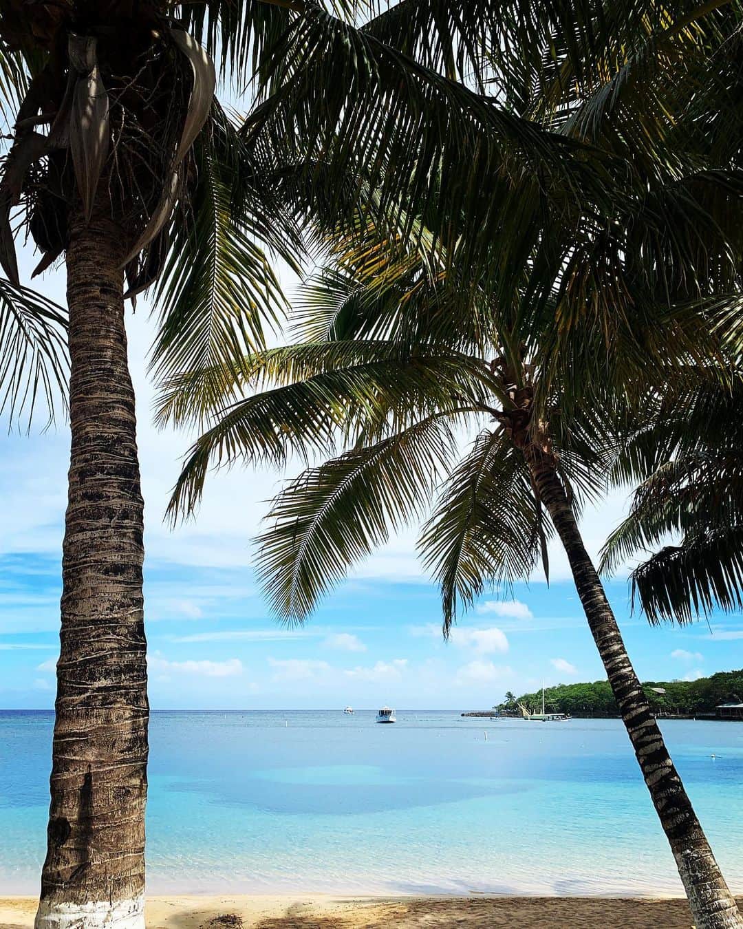 福本幸子さんのインスタグラム写真 - (福本幸子Instagram)「#カリブ海 好きだな〜🏝 サンドフライさえいなければ住んでもいい。The only thing I hate about the #Caribbean is sand flies. Otherwise it’s perfect. #roxylife」8月20日 6時34分 - okinawajudy