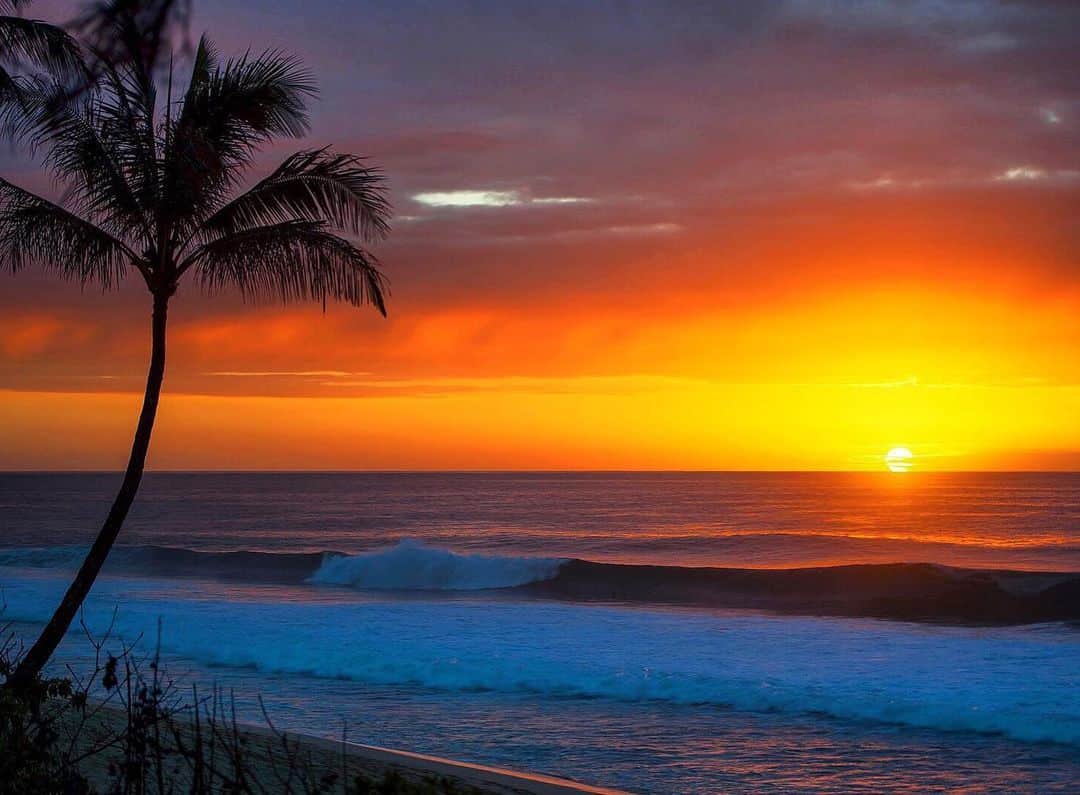 クラーク・リトルさんのインスタグラム写真 - (クラーク・リトルInstagram)「)(ome #hawaii #paradise #oahu #pukukea #clarklittle 🆑」8月20日 7時09分 - clarklittle