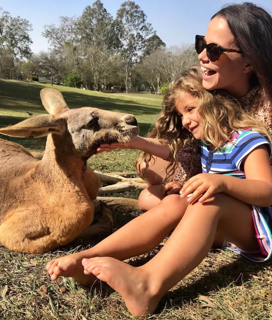 タミン・サーソクさんのインスタグラム写真 - (タミン・サーソクInstagram)「Phoenix, you’re not in Kansas anymore 😂. Thank you @visitbrisbane for an incredible day ❤️ #kangaroo #australia #thisisbrisbane」8月20日 8時02分 - tamminsursok