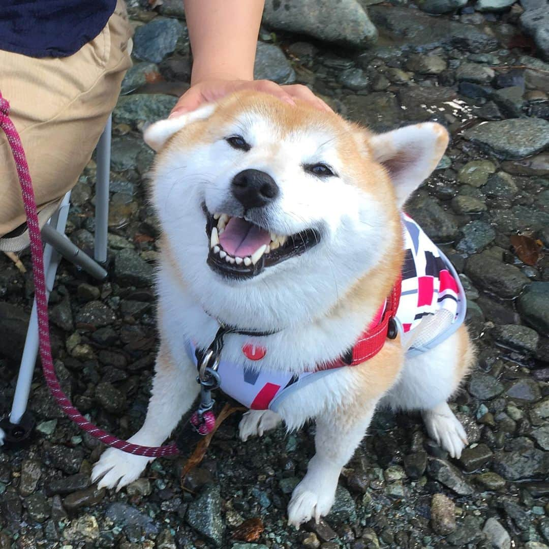 てんパパのインスタグラム