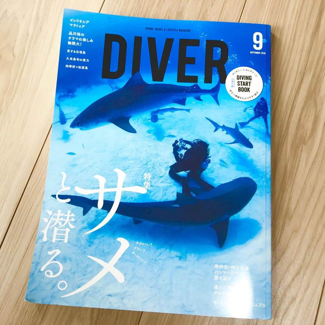 野口綾子さんのインスタグラム写真 - (野口綾子Instagram)「今月の #DIVER は サメ特集💕🦈💕 . 最高に癒されます✨✨ ああ、マラパスクアまた行きたいなぁ〜✨ . 我が家の玄関は、ビーチの露店で買った木彫りのニタリちゃんが出迎えてくれます🦈💕 . このカッコいい〜✨尾が折れたら嫌で7ヶ月滞在の為かなりの大荷物なのに、これはタオルに包んで機内持ち込みで持って帰ってきましたからねwニタリ目当てでマラパスクア行ったら絶対これ買いたくなりますよ🥴 . セブシティからだとかなり遠いのですが、留学中、土日を使って1人で2度ニタリに会いに行きました🦈💕 . 朝日が登る前(登り始め？)に出発する早朝ダイブなので、土日だと1チャンスしかないから、ナイトロックスで少しでも時間を稼いで潜ったのが懐かしい…✨ . また行きたいよー！ダイビングしたいよー！海行きたいよー！笑 . 今月のダイバーはそんな気持ちを癒してくれます。世界中のサメポイントを巡りたいですね✨🦈✨ . #ニタリザメ #threshershark #マラパスクア #malapascua #フィリピン #philippines #tbt #雑誌 #magazine #diver #underwaterphotography #ダイビング #scubadiving」8月20日 9時27分 - ayako__n