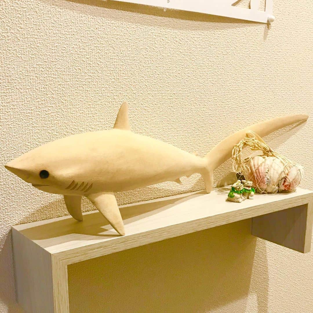 野口綾子さんのインスタグラム写真 - (野口綾子Instagram)「今月の #DIVER は サメ特集💕🦈💕 . 最高に癒されます✨✨ ああ、マラパスクアまた行きたいなぁ〜✨ . 我が家の玄関は、ビーチの露店で買った木彫りのニタリちゃんが出迎えてくれます🦈💕 . このカッコいい〜✨尾が折れたら嫌で7ヶ月滞在の為かなりの大荷物なのに、これはタオルに包んで機内持ち込みで持って帰ってきましたからねwニタリ目当てでマラパスクア行ったら絶対これ買いたくなりますよ🥴 . セブシティからだとかなり遠いのですが、留学中、土日を使って1人で2度ニタリに会いに行きました🦈💕 . 朝日が登る前(登り始め？)に出発する早朝ダイブなので、土日だと1チャンスしかないから、ナイトロックスで少しでも時間を稼いで潜ったのが懐かしい…✨ . また行きたいよー！ダイビングしたいよー！海行きたいよー！笑 . 今月のダイバーはそんな気持ちを癒してくれます。世界中のサメポイントを巡りたいですね✨🦈✨ . #ニタリザメ #threshershark #マラパスクア #malapascua #フィリピン #philippines #tbt #雑誌 #magazine #diver #underwaterphotography #ダイビング #scubadiving」8月20日 9時27分 - ayako__n