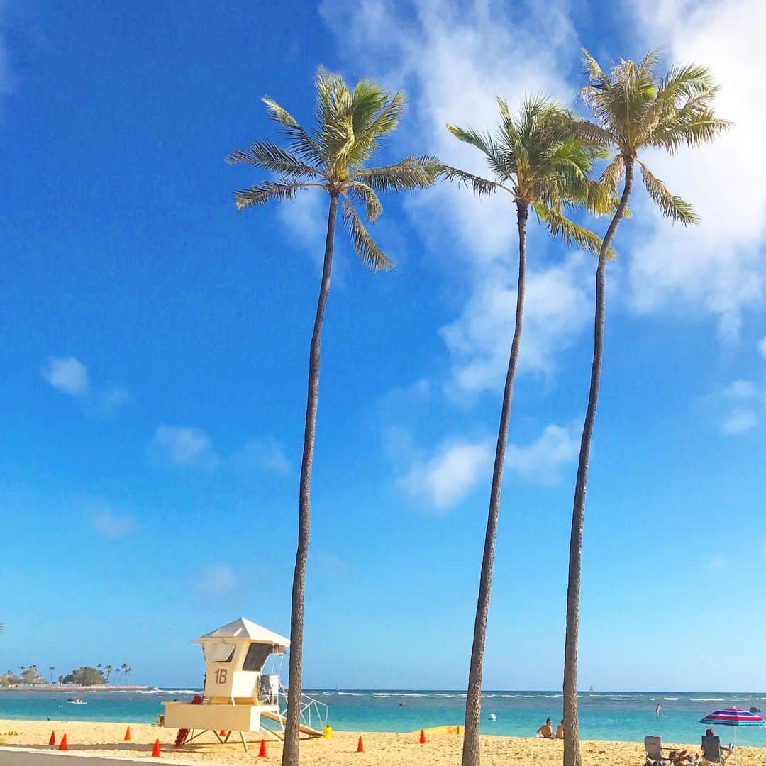 マキ・コニクソンさんのインスタグラム写真 - (マキ・コニクソンInstagram)「ヤッホー！😆 今年の8月のハワイは毎日安定してお天気良いよ！☀️✌🏼 お天道様に感謝！🙏🏻 あぁ今日もいい一日だ！😊 #ハワイのおすそ分け🤙🏼 #親子のヤシの木🌴🌴🌴#背の高いママヤシの木か背の低いパパヤシの木が子供ヤシの木に身長抜かされそうになってるって言う私の妄想！🤔」8月20日 9時34分 - makikonikson