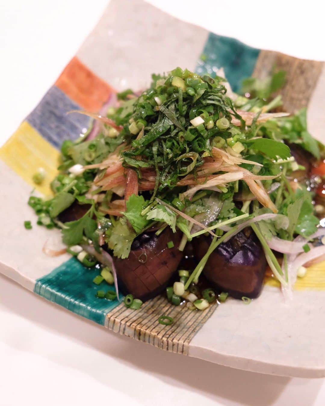 武智志穂さんのインスタグラム写真 - (武智志穂Instagram)「わたしの田舎・高知の名物料理 なすのたたき🍆の薬味沢山乗せ！﻿ さっぱりしているから、ぺろりと食べれちゃう。 ﻿ なすを揚げ焼きにする。 スライスした紫玉ねぎ、パクチー、みょうが、大葉、小葱をどっさりと。﻿ タレはポン酢と麺つゆをミックス。﻿ ﻿ ここに茹でた豚肉混ぜて、豚しゃぶサラダにしても絶対に美味しい🥺﻿ ﻿ ﻿ #武智家の食卓 #なすのたたき﻿ #薬味はたっぷりと #パクチー大好き」8月20日 9時44分 - shiho_takechi