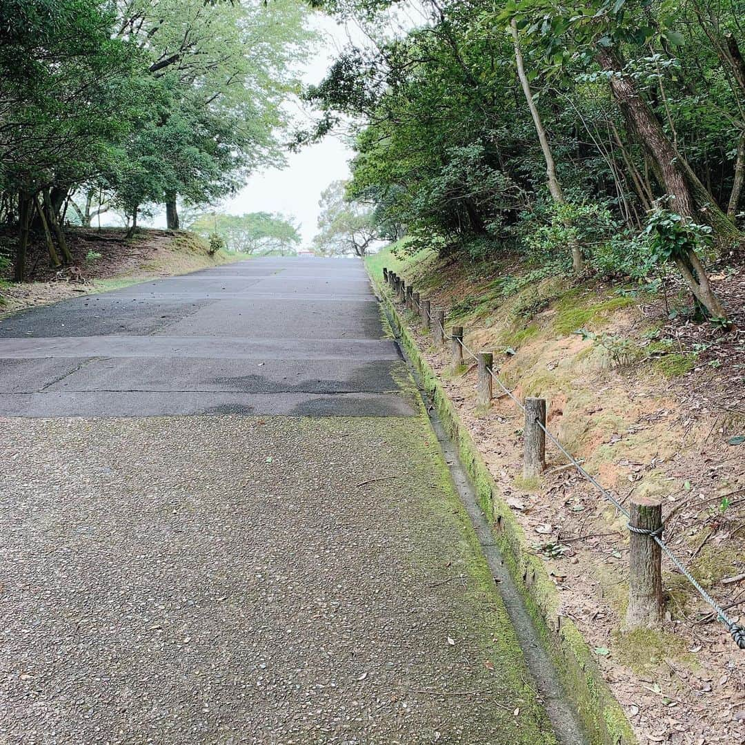 安藤瞳さんのインスタグラム写真 - (安藤瞳Instagram)「さ、朝はトレーニング🏃‍♀️ お昼から練習😊  前、迷子になったから…スマホを腕につけられるのをプレゼントしてくださいました☺️ありがたい✨  坂道ダッシュもしよー💨  今日から新しいプロテインシェーカー😄  皆んなのおかげで、顔晴れる✨  #トレーニング #プロボウラー #ボウリング」8月20日 10時04分 - hitomiandoh