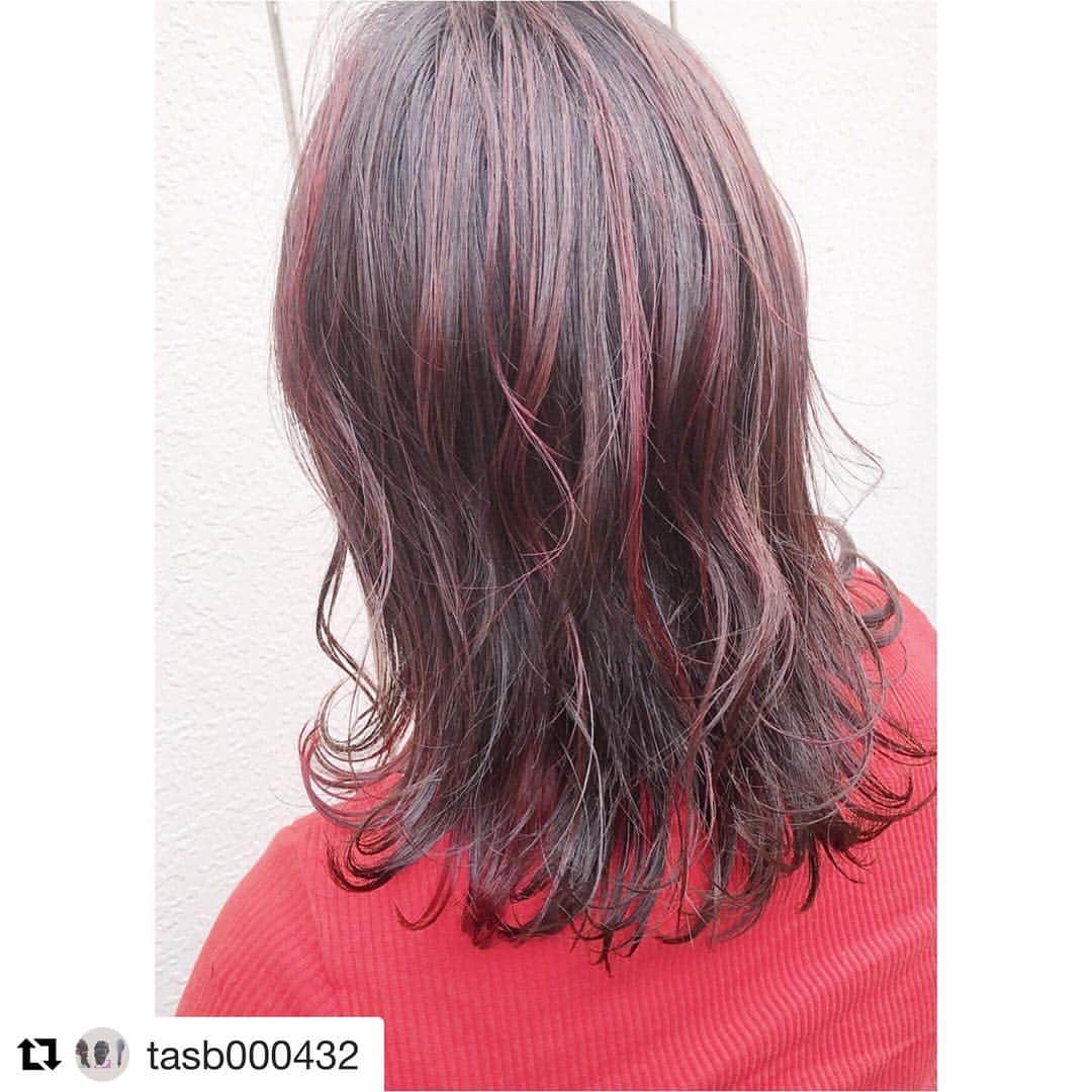 ロコル公式アカウントのインスタグラム