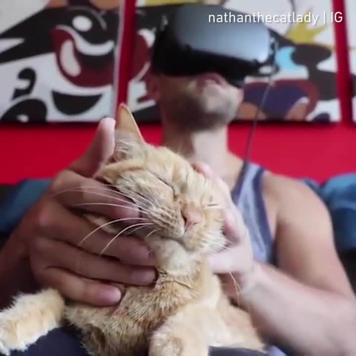Aww Clubのインスタグラム