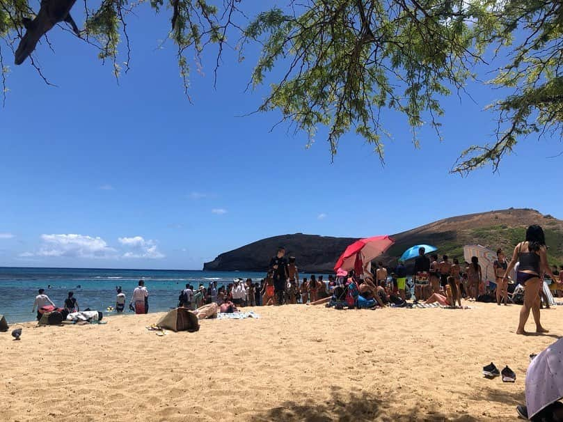 市川海老蔵 （11代目）さんのインスタグラム写真 - (市川海老蔵 （11代目）Instagram)「* A seal on the beach. Everyone is taking a picture of him. I found it a bit pity so I was watching it from a distance. I initially surprised to see a sea lion in Hawaii, but he is the Hawaiian monk seal. He just stopped by for a quick nap.  I want to have a nap too.... アシカさんが きたそうです。 人集り、 みんな写真撮ってます。  私はなんとなく アシカ可哀想で 遠くで見ることに ハワイに？アシカ？ どうしたんだろ？と思ってましたが、  私の早とちり ハワイ特有のアシカらしいです。 ハワイアンモンクシール。 お昼寝に来ただけでした笑  私も昼寝したい💕  #市川海老蔵 #海老蔵 #成田屋 #歌舞伎 #ABKAI #ABMORI #ebizoichikawa #ebizo #kabuki #thunderparty #theater #theaterarts #actor #japan #classic」8月20日 11時11分 - ebizoichikawa.ebizoichikawa