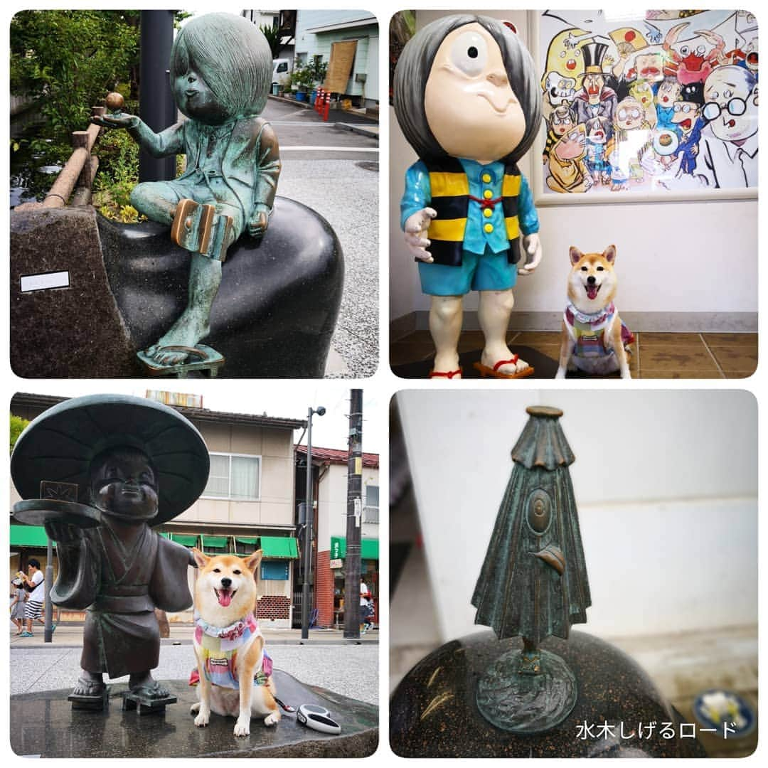 ちゃみさんのインスタグラム写真 - (ちゃみInstagram)「Izumo Taisha⛩ 初めての出雲大社✨ 迫力ありました～‼😆 #海より暑かった #夏の出雲大社 #出雲大社では二礼四拍手一礼👏 * 出雲大社の帰りに少しだけ  水木しげるロードへ あちこちに妖怪がいました😂 #夜バージョンも行ってみたかったな * * 島根&鳥取旅行の記録用に😊 次のパワースポットの投稿で終わり～！ * * #出雲大社 #島根 #水木しげるロード#鳥取 #ワンコとお出かけ」8月20日 12時08分 - shiba_charmy