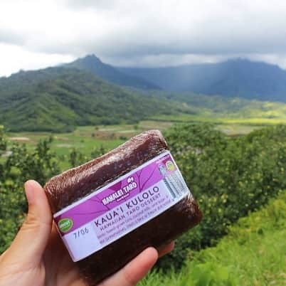 ハワイアン航空さんのインスタグラム写真 - (ハワイアン航空Instagram)「ロコが大好きなお菓子、kūlolo（クロロ）を知っていますか？ 😋 タロイモの根をすりおろし、ココナッツミルクと砂糖で作られた伝統的なデザートです。アウトドアでの糖分補給におすすめです😎 📍: #ハナレイ #カウアイ島 #ハワイのスイーツ #traveltuesday」8月20日 12時24分 - hawaiianairlinesjp
