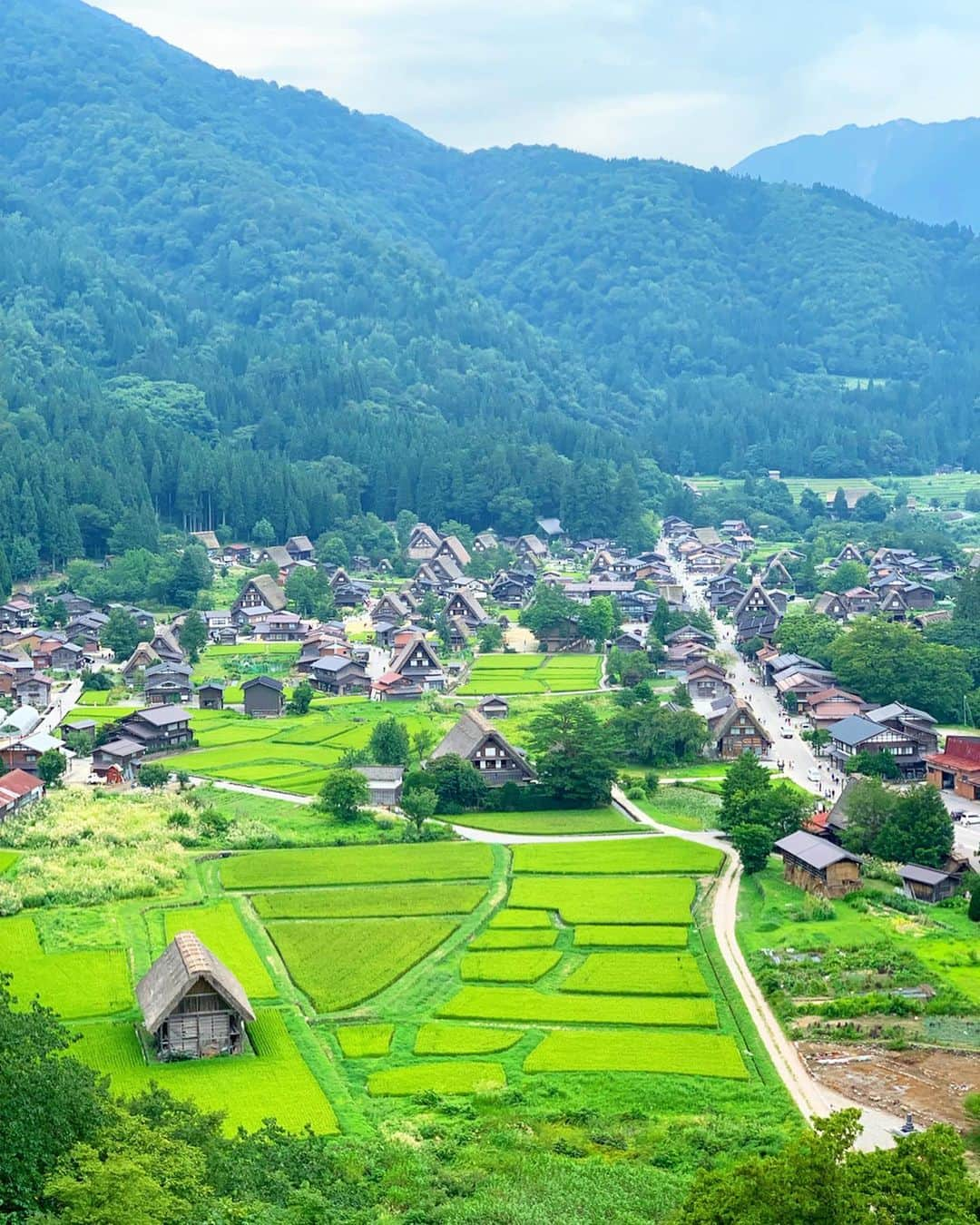 奈良裕也さんのインスタグラム写真 - (奈良裕也Instagram)「#白川郷 #世界遺産 @shirakawa_go 🏔🌾 歩いて 歩いて 展望台まで👣 冬の景色も見てみたい❄️ 素敵で不思議な空間に感動🥺 山育ちだから 染みる🥴」8月20日 12時20分 - yuyanara