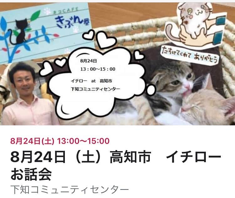 猫カフェきぶん屋さんのインスタグラム写真 - (猫カフェきぶん屋Instagram)「ただいま尾道へ向かってます！  先日ある愛護活動してる方との話。 「餌代と医療費で月10万円くらいかかる」 そのお金どこから出してるんですか？？ 「給料からです」  ペットショップやブリーダーにはお金が流れるのに、良いことしてる人には必要なお金が流れない。 おかしくない？？ 僕は今、お金の流れを変えるためにいろんなところでお話会してます。 今年のテーマは発信力のある団体を増やしていくこと！ そしてペットフードの市場を少しずついただいちゃって、お金や物資を必要としてる方に渡せるようになること！  24日は高知市で！ このままだと少人数開催になりそうなのでぜひお越しくださいね😊  https://www.facebook.com/events/368901857142710/?ti=icl」8月20日 12時50分 - nekocafekibunya