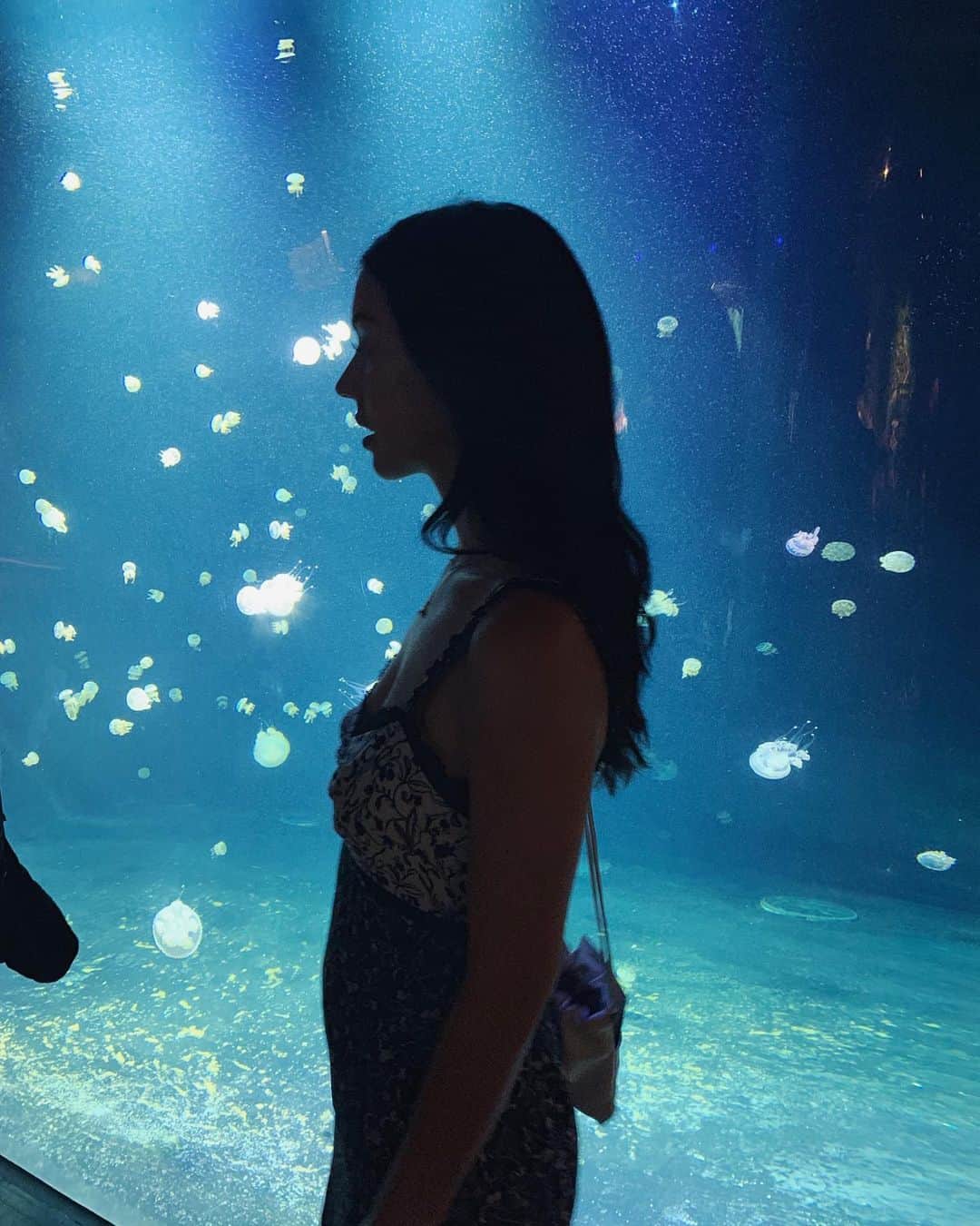 アデレード・ケインのインスタグラム：「There’s a new vlog on the @youtube 🐠」