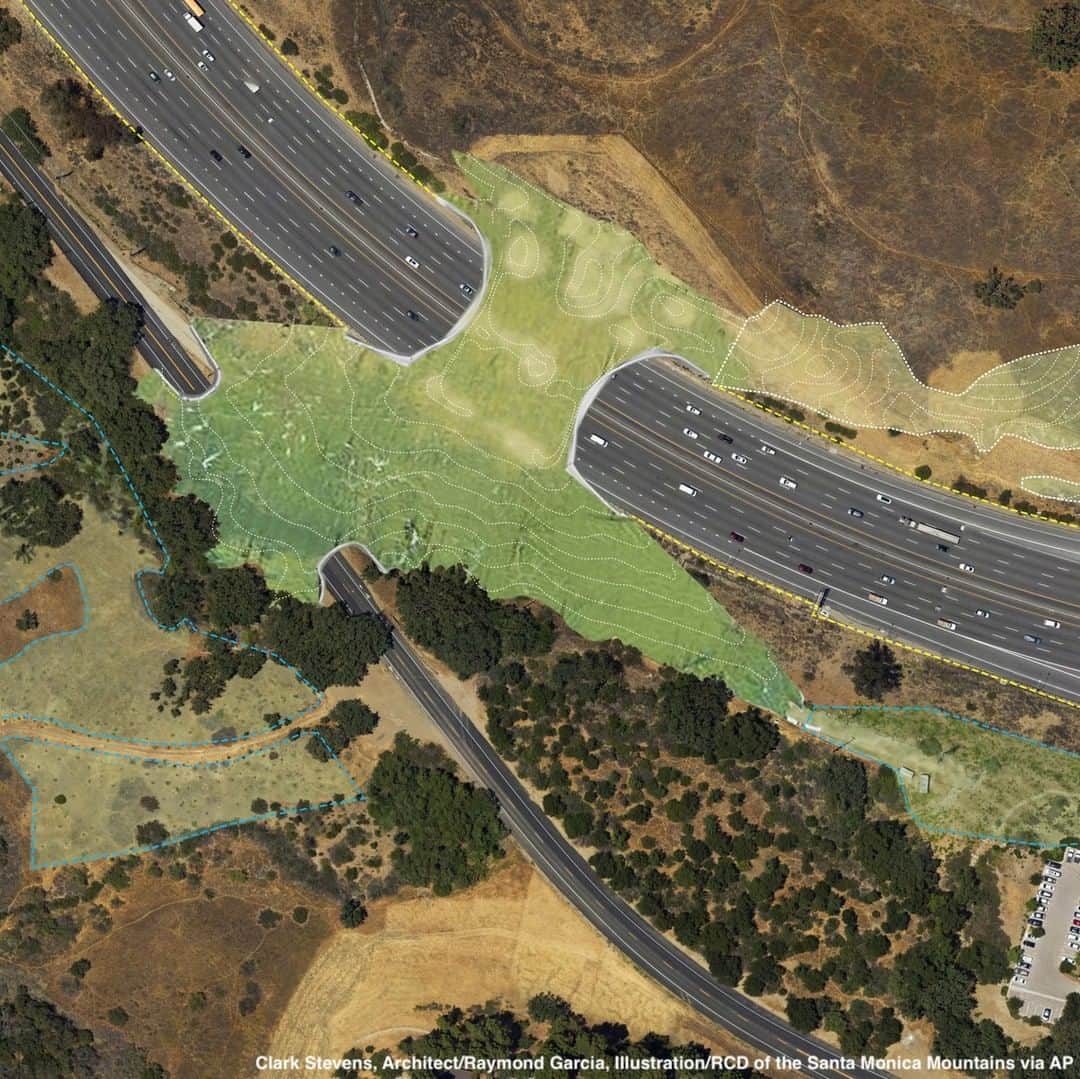 ABC Newsさんのインスタグラム写真 - (ABC NewsInstagram)「Artist's rendering shows a proposed wildlife crossing to be built over Highway 101 in Agoura Hills, CA, hoping to help preserve mountain lions and other species. #california #losangeles #conservation #traffic #endangeredspecies」8月20日 22時42分 - abcnews