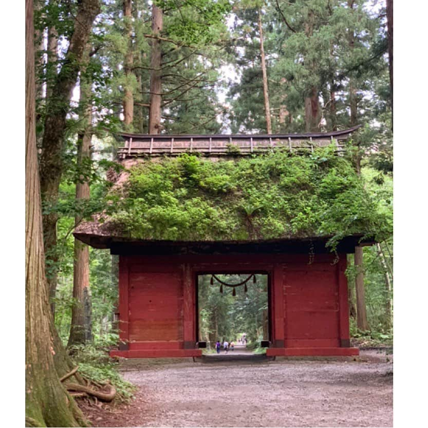 永瀬かおるさんのインスタグラム写真 - (永瀬かおるInstagram)「はじめての長野旅🌻 緑が豊かで、 空気が気持ちよくて、 美味しいものが沢山ある素敵な所☺️ パワースポットの戸隠に行ってお蕎麦を食べて、 戸隠神社、鏡池、善光寺など色んな場所に行けて長野満喫✨ また行きたいなぁ🌽  #長野 #長野旅 #パワースポット #戸隠 #戸隠神社 #鏡池 #善光寺 #お蕎麦 #日本旅行 #緑がいっぱい #癒やし #あの子の故郷 #旅好き」8月20日 23時08分 - nagase_kaoru