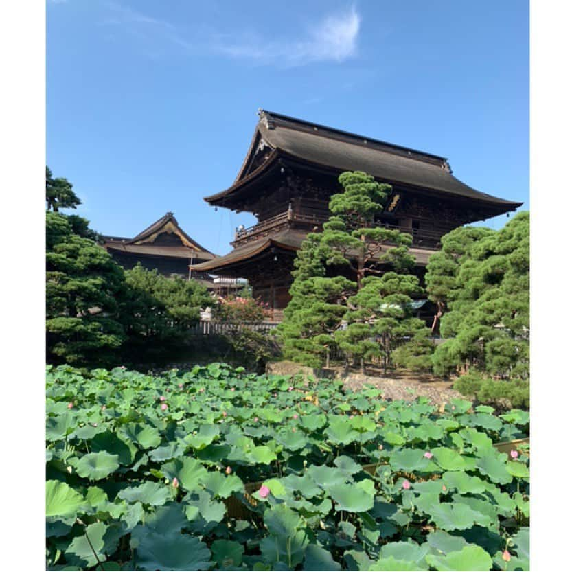 永瀬かおるさんのインスタグラム写真 - (永瀬かおるInstagram)「はじめての長野旅🌻 緑が豊かで、 空気が気持ちよくて、 美味しいものが沢山ある素敵な所☺️ パワースポットの戸隠に行ってお蕎麦を食べて、 戸隠神社、鏡池、善光寺など色んな場所に行けて長野満喫✨ また行きたいなぁ🌽  #長野 #長野旅 #パワースポット #戸隠 #戸隠神社 #鏡池 #善光寺 #お蕎麦 #日本旅行 #緑がいっぱい #癒やし #あの子の故郷 #旅好き」8月20日 23時08分 - nagase_kaoru