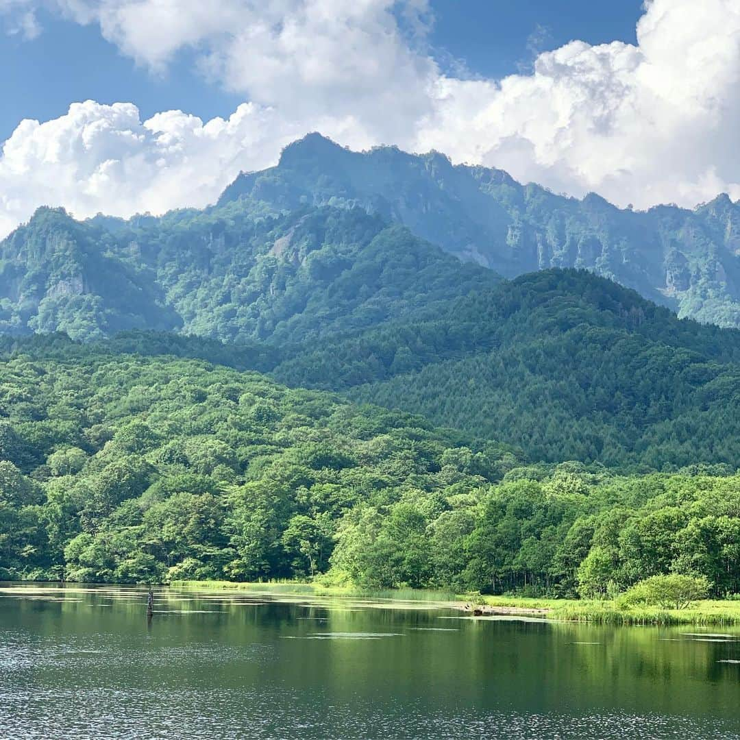 永瀬かおるさんのインスタグラム写真 - (永瀬かおるInstagram)「はじめての長野旅🌻 緑が豊かで、 空気が気持ちよくて、 美味しいものが沢山ある素敵な所☺️ パワースポットの戸隠に行ってお蕎麦を食べて、 戸隠神社、鏡池、善光寺など色んな場所に行けて長野満喫✨ また行きたいなぁ🌽  #長野 #長野旅 #パワースポット #戸隠 #戸隠神社 #鏡池 #善光寺 #お蕎麦 #日本旅行 #緑がいっぱい #癒やし #あの子の故郷 #旅好き」8月20日 23時08分 - nagase_kaoru