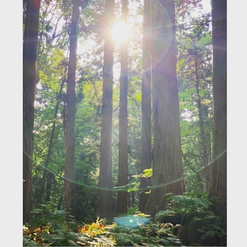 永瀬かおるさんのインスタグラム写真 - (永瀬かおるInstagram)「はじめての長野旅🌻 緑が豊かで、 空気が気持ちよくて、 美味しいものが沢山ある素敵な所☺️ パワースポットの戸隠に行ってお蕎麦を食べて、 戸隠神社、鏡池、善光寺など色んな場所に行けて長野満喫✨ また行きたいなぁ🌽  #長野 #長野旅 #パワースポット #戸隠 #戸隠神社 #鏡池 #善光寺 #お蕎麦 #日本旅行 #緑がいっぱい #癒やし #あの子の故郷 #旅好き」8月20日 23時08分 - nagase_kaoru