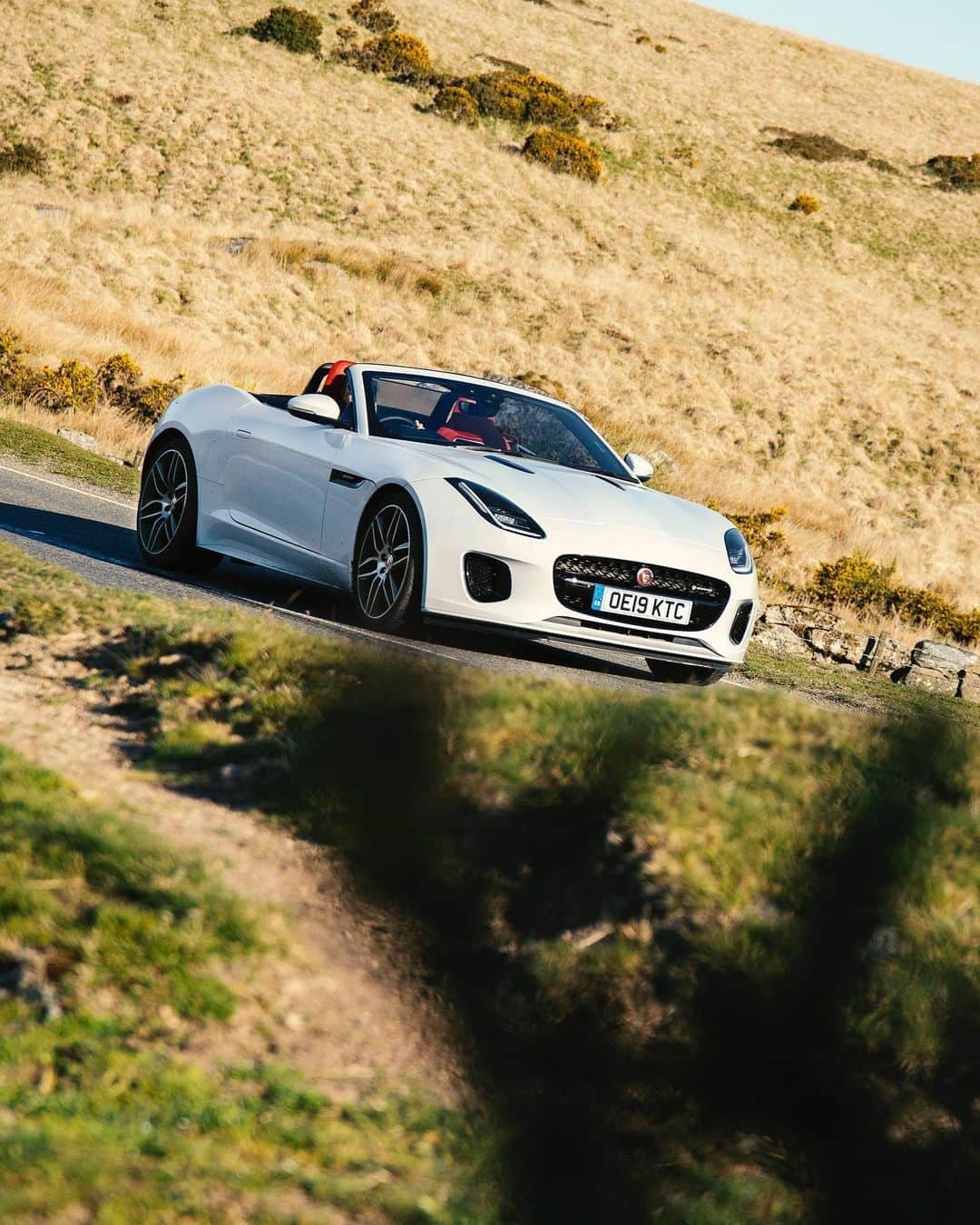 Jaguarさんのインスタグラム写真 - (JaguarInstagram)「The nature of the beast.  #JaguarJourneys #Jaguar #FTYPE #Luxury #Premium #SportsCar #Convertible #CarsofInstagram #InstaCar #InstaDesign #England #UK」8月20日 23時19分 - jaguar