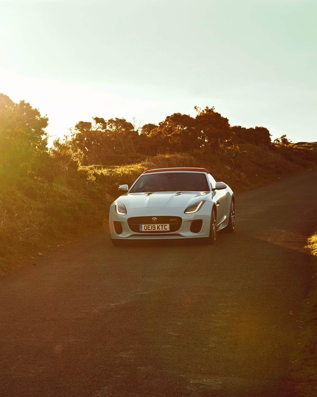 Jaguarさんのインスタグラム写真 - (JaguarInstagram)「The nature of the beast.  #JaguarJourneys #Jaguar #FTYPE #Luxury #Premium #SportsCar #Convertible #CarsofInstagram #InstaCar #InstaDesign #England #UK」8月20日 23時19分 - jaguar