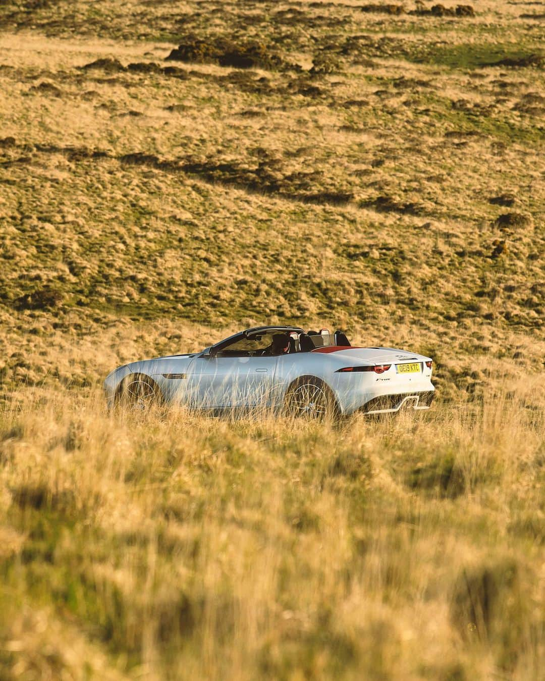 Jaguarさんのインスタグラム写真 - (JaguarInstagram)「The nature of the beast.  #JaguarJourneys #Jaguar #FTYPE #Luxury #Premium #SportsCar #Convertible #CarsofInstagram #InstaCar #InstaDesign #England #UK」8月20日 23時19分 - jaguar